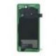 Vitre arrière Samsung Galaxy S10 G973F vert